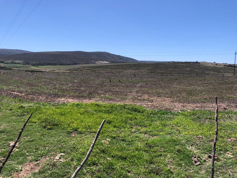 Farming Opportunity in Baardskeerdersbos - Photo 6