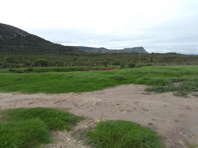 5.98ha Farm for Sale in Franskraal. - Photo 4