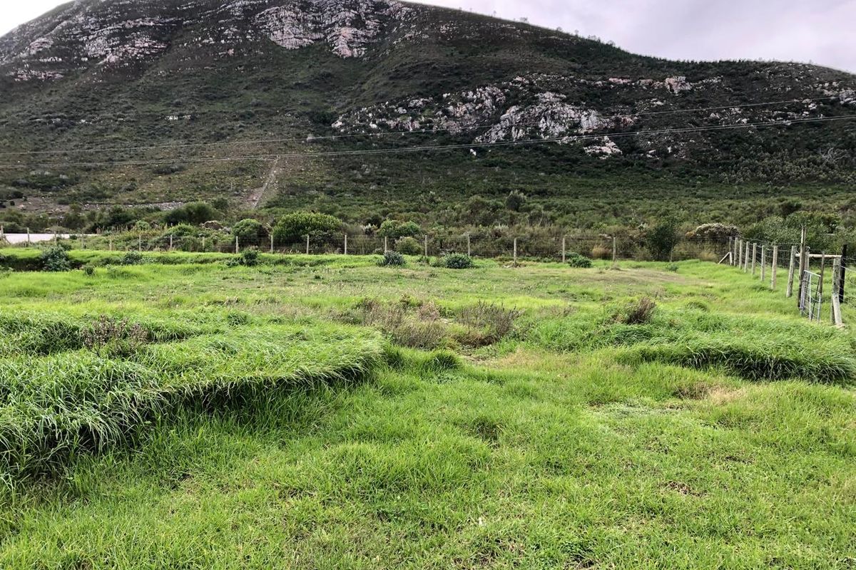 5.98ha Farm for Sale in Franskraal. - Photo 2