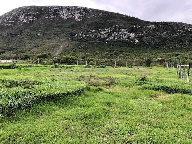 5.98ha Farm for Sale in Franskraal. - Photo 2