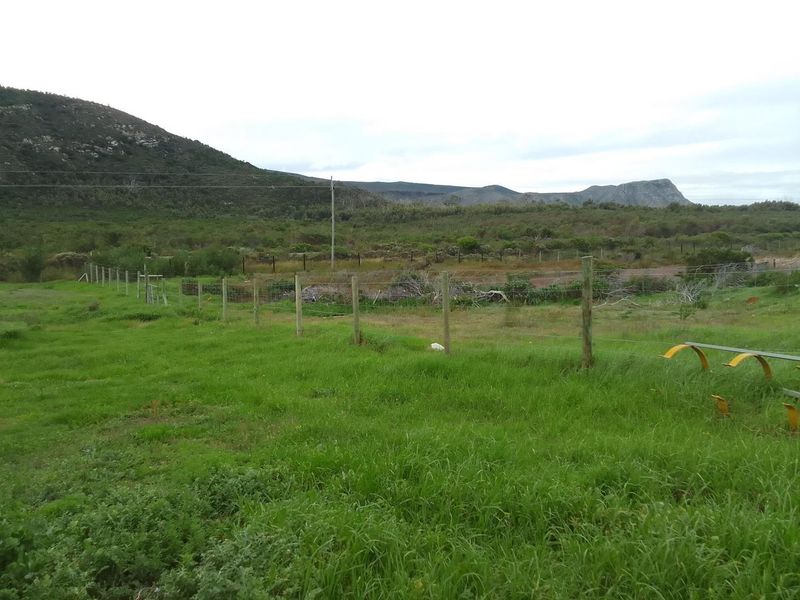 5.98ha Farm for Sale in Franskraal. - Photo 3