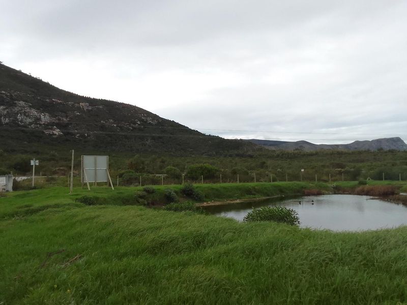 5.98ha Farm for Sale in Franskraal. - Photo 6