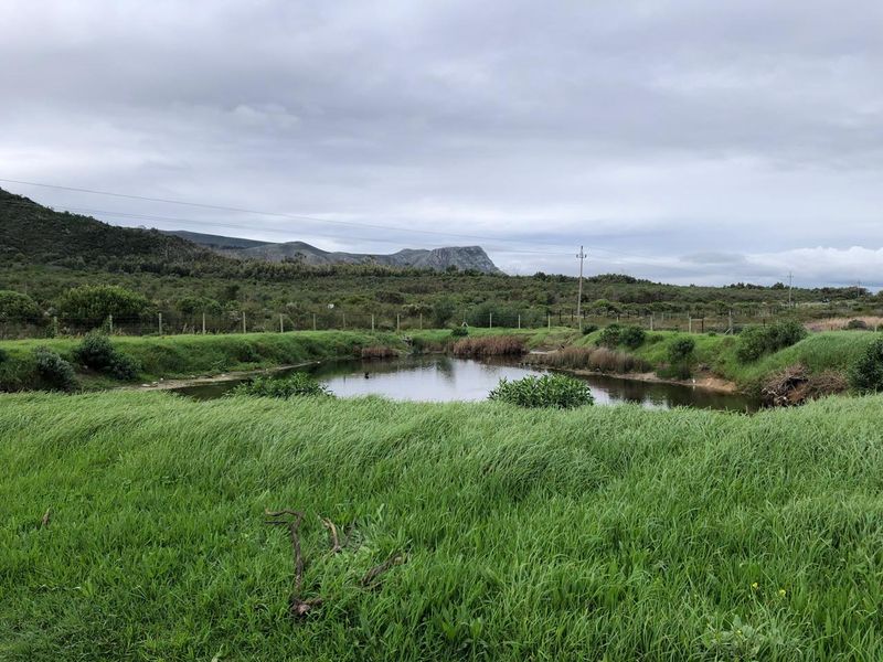 5.98ha Farm for Sale in Franskraal. - Photo 1