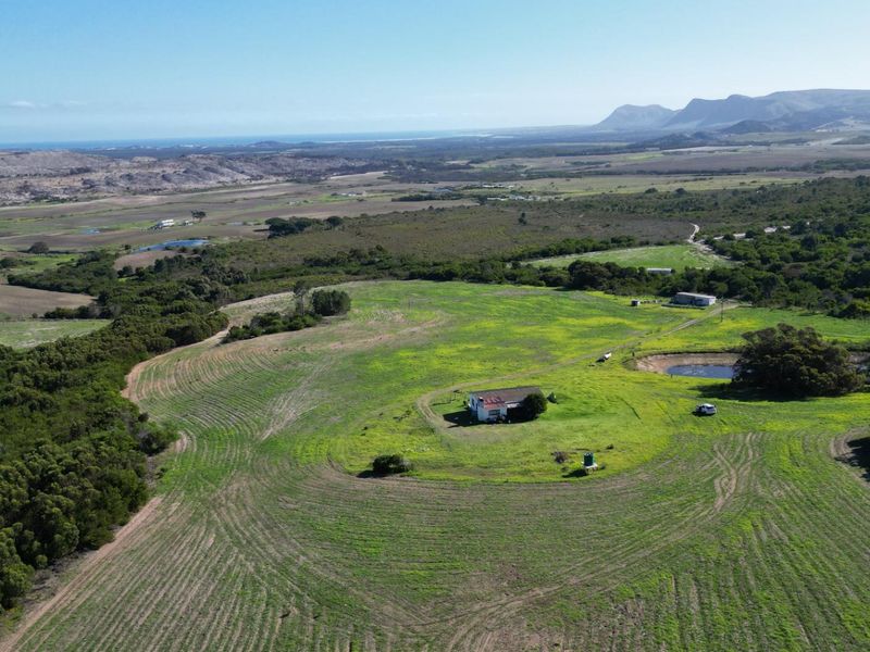 Bluebell Farm for sale – Tranquil Lifestyle & Agricultural Opportunity - Photo 3