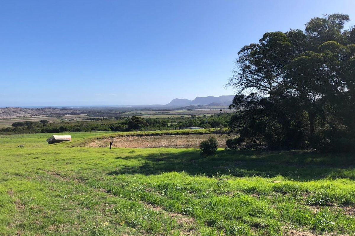Bluebell Farm for sale – Tranquil Lifestyle & Agricultural Opportunity - Photo 4