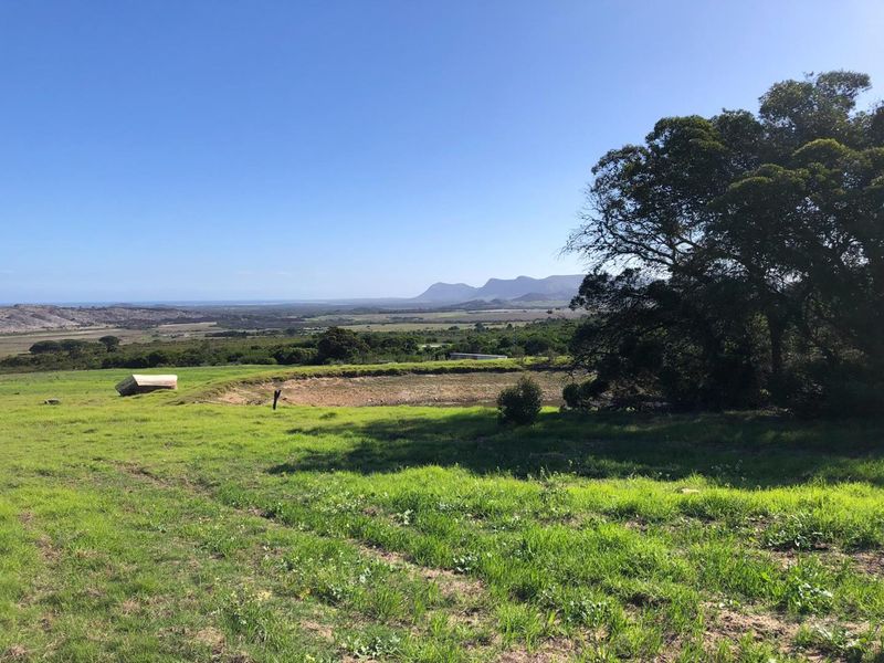 Bluebell Farm for sale – Tranquil Lifestyle & Agricultural Opportunity - Photo 4