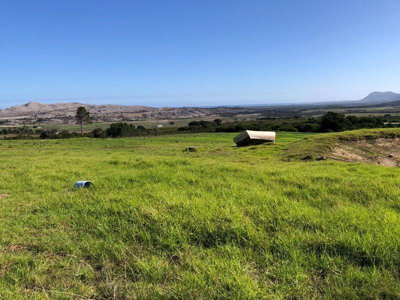 Bluebell Farm for sale – Tranquil Lifestyle & Agricultural Opportunity - Photo 10