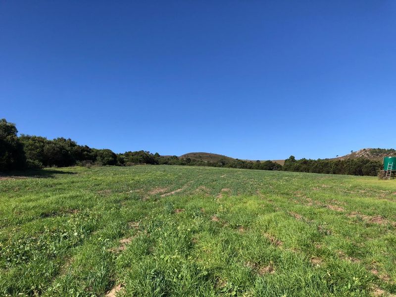 Bluebell Farm for sale – Tranquil Lifestyle & Agricultural Opportunity - Photo 7