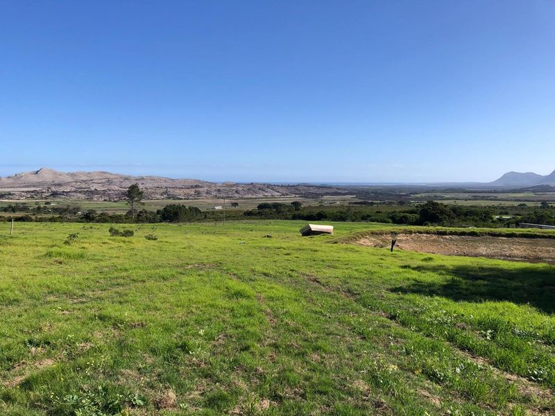 Bluebell Farm for sale – Tranquil Lifestyle & Agricultural Opportunity - Photo 6