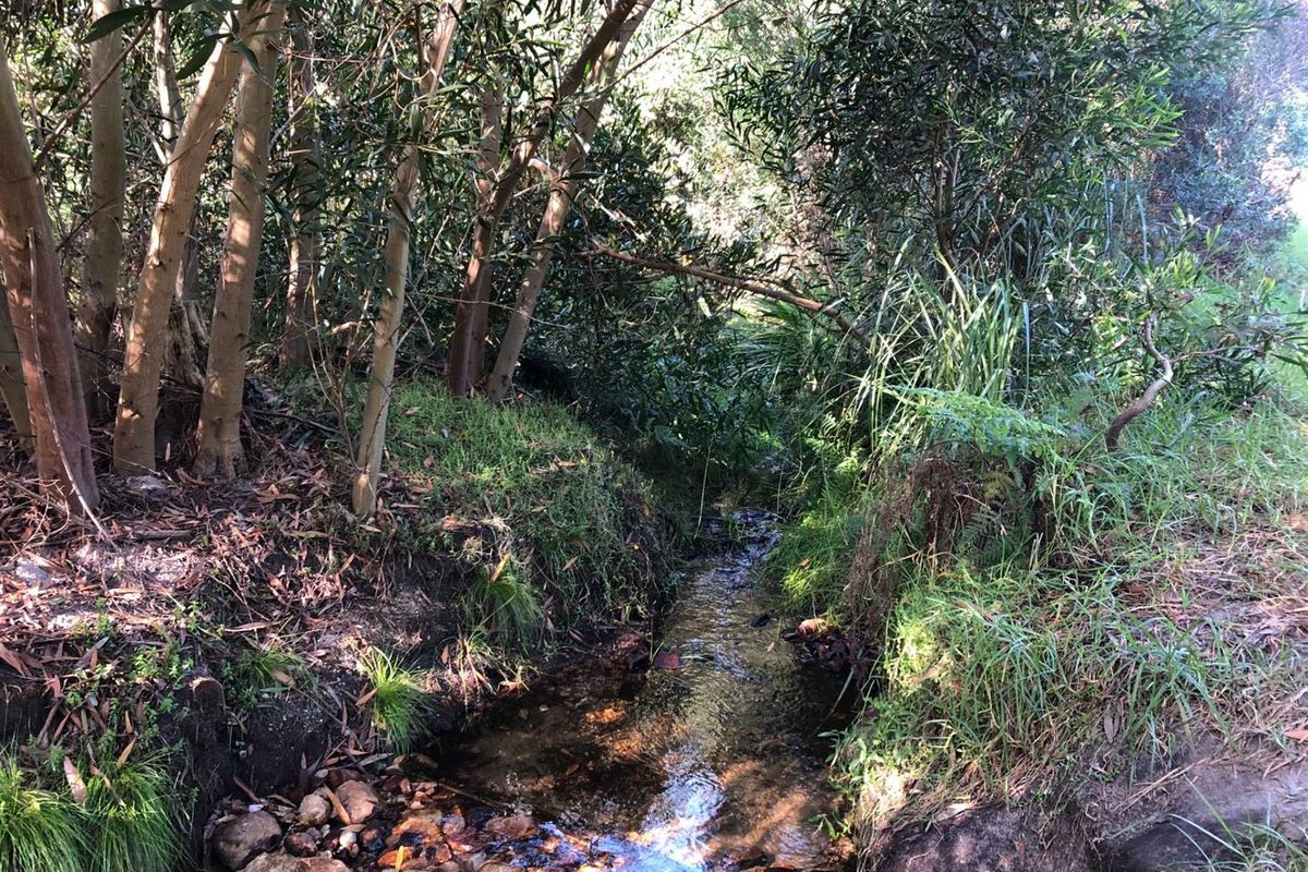 A peaceful natural stream flowing through a wooded area on the farm property, surrounded by mature trees and native vegetation.