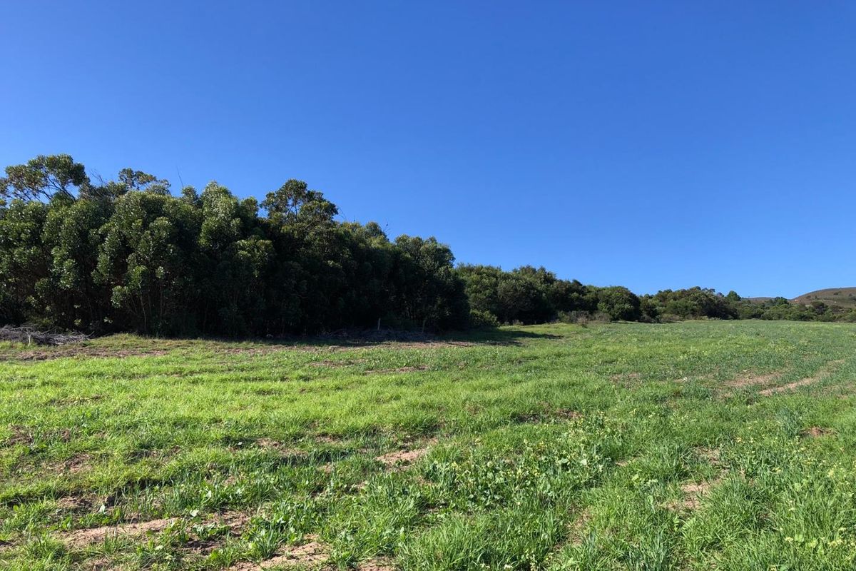 A scenic view of open green pasture land bordered by a dense line of mature trees under a clear blue sky.