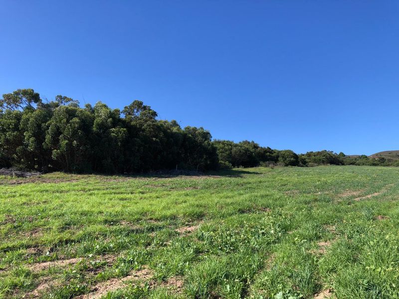 Bluebell Farm for sale – Tranquil Lifestyle & Agricultural Opportunity - Photo 5
