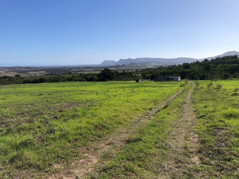 Expansive rural landscape view featuring open green pastures and a dirt access track leading toward distant mountain ranges.
