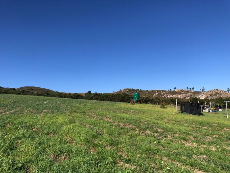 Bluebell Farm for sale – Tranquil Lifestyle & Agricultural Opportunity - Photo 8