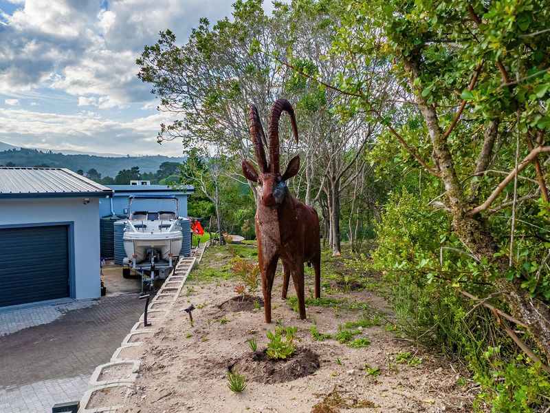 3.8 Ha Off Grid luxury Rural property in Langvlei Dunes - Photo 7