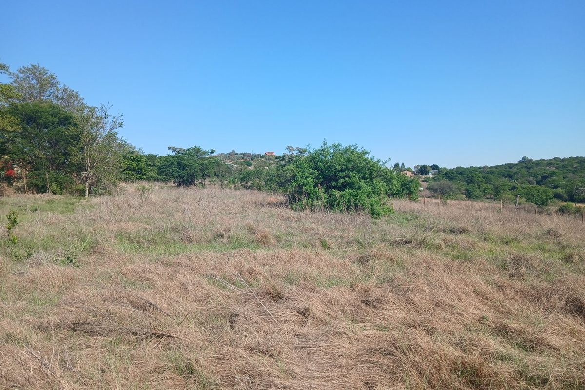 A view of a vacant residential plot featuring natural grass, scattered shrubs, and perimeter fencing under a clear blue sky.