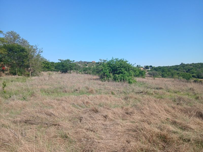 A view of a vacant residential plot featuring natural grass, scattered shrubs, and perimeter fencing under a clear blue sky.