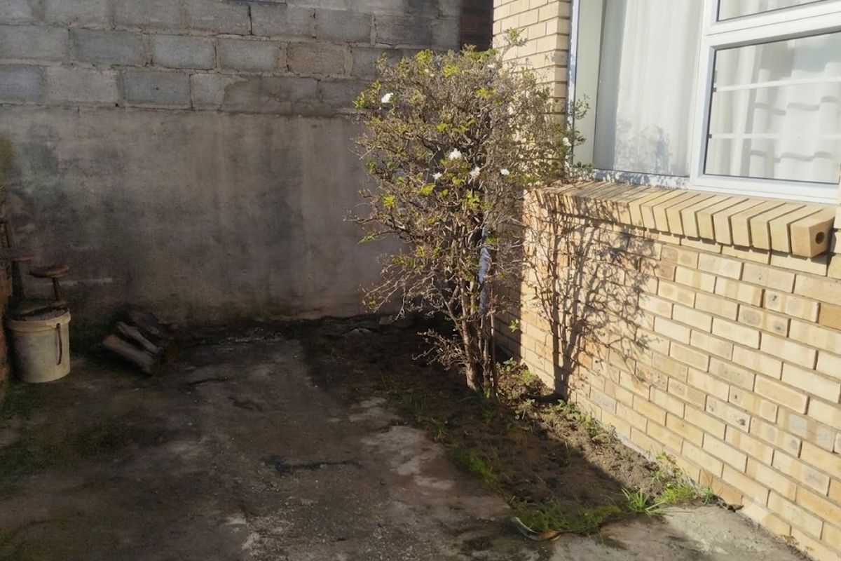 A rear exterior area featuring face brick walling, concrete paving, and a cinder block boundary wall, requiring landscaping and surface maintenance.