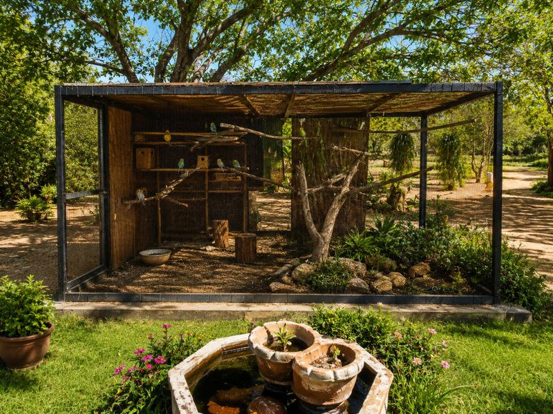Exclusive 21.4 ha Farm  in Vastfontein - Photo 5
