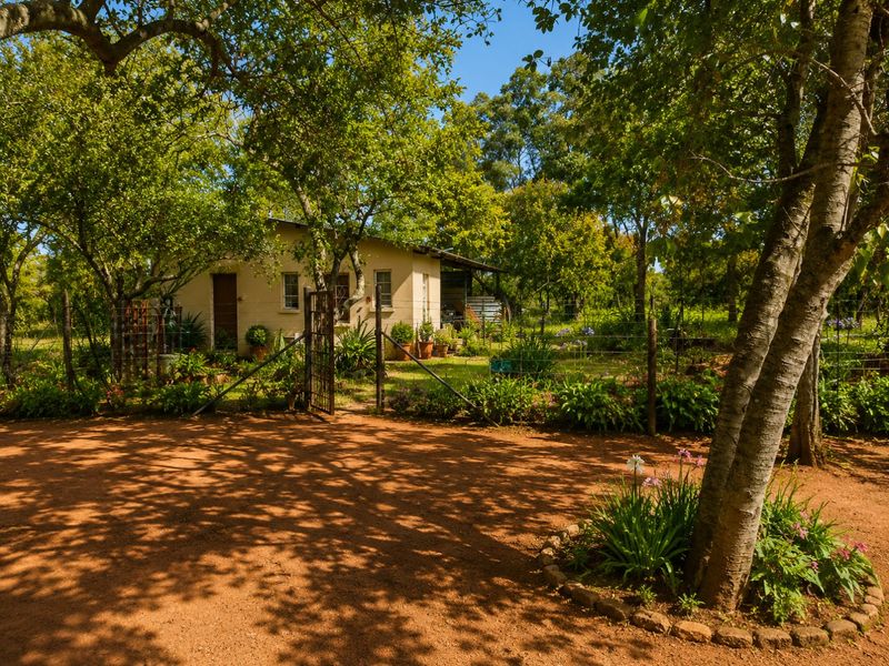 Exclusive 21.4 ha Farm  in Vastfontein - Photo 7