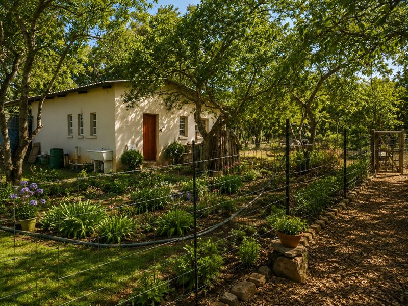Exclusive 21.4 ha Farm  in Vastfontein - Photo 6