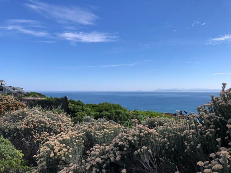 For Sale: Elevated Coastal Stand with Ocean Views. - Photo 10