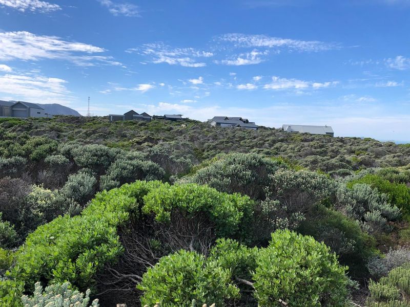 For Sale: Elevated Coastal Stand with Ocean Views. - Photo 6