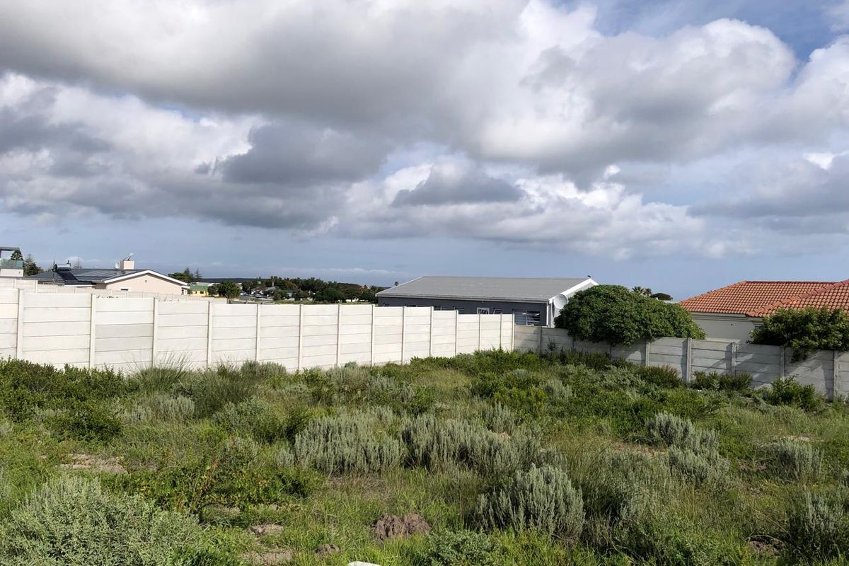 A vacant residential plot featuring natural vegetation and enclosed by a precast concrete boundary wall in a established neighborhood.