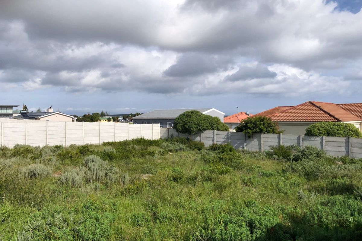 A vacant residential plot featuring natural vegetation and enclosed by precast concrete boundary walls in a suburban neighborhood setting.
