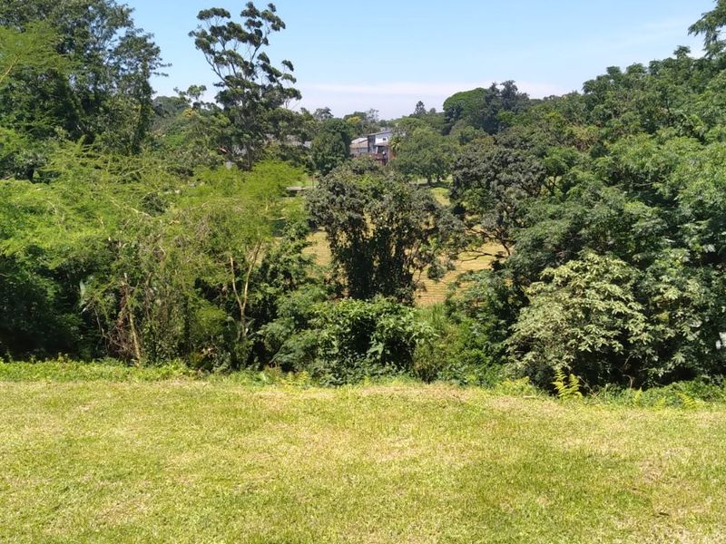 A scenic view overlooking a lush, green landscape with mature trees and open grass, providing a peaceful natural outlook from the property.