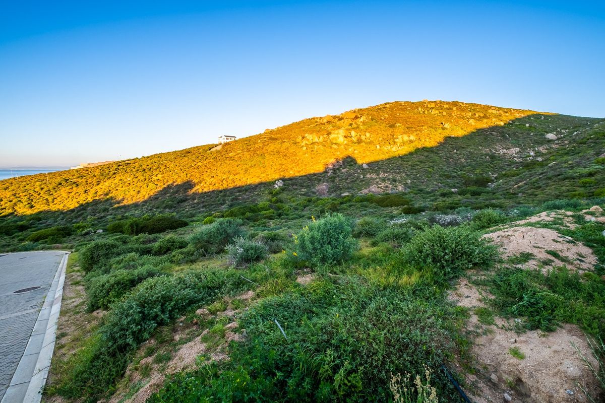 A scenic view of a natural hillside landscape with native vegetation and a paved road in the foreground.