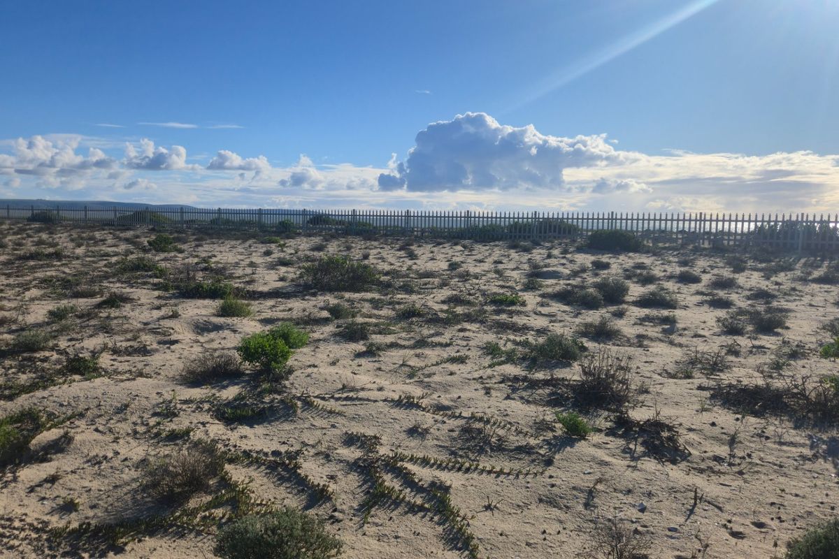 A view of a vacant residential plot featuring sandy terrain, native coastal vegetation, and perimeter fencing under a clear blue sky.