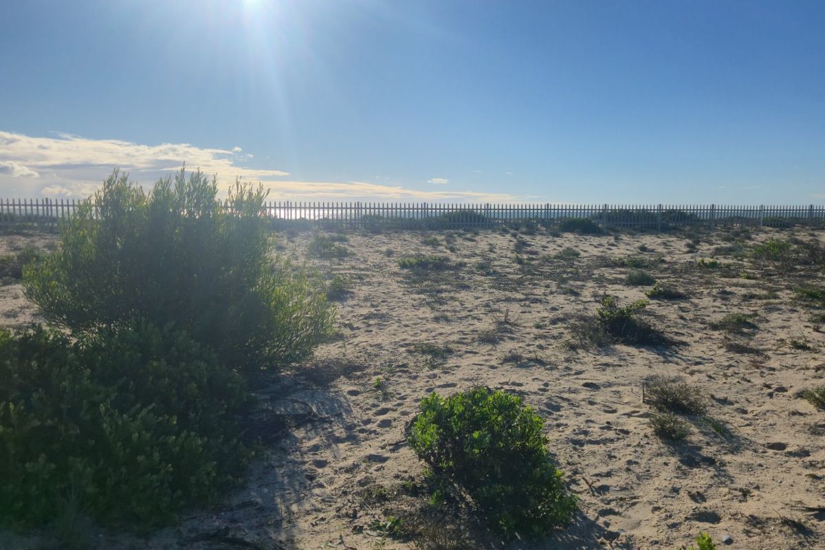 A vacant residential plot featuring sandy terrain, native coastal vegetation, and perimeter fencing, offering potential for development.