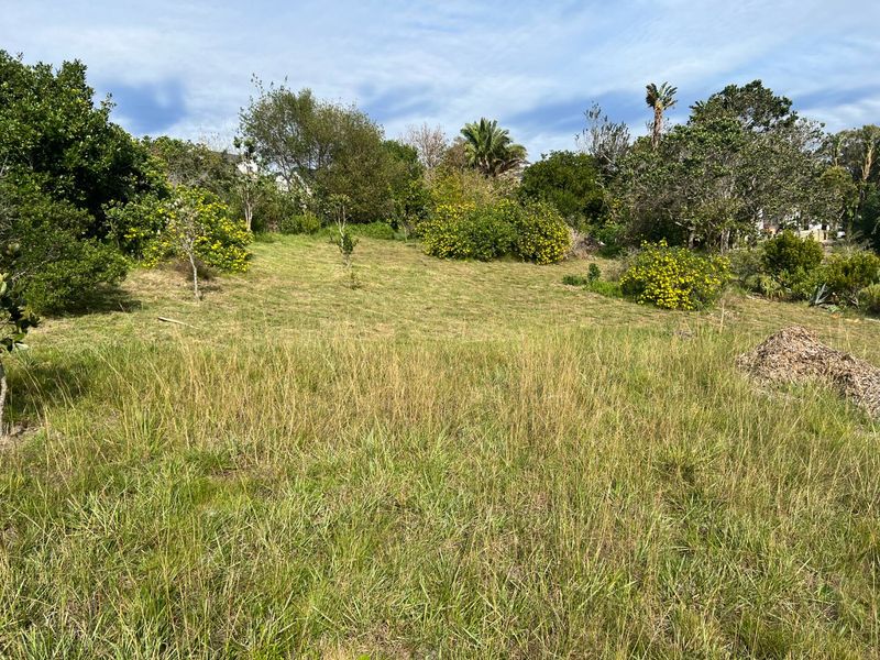 Experience Peaceful Country Living at Woodlands Private Country Estate - Photo 7