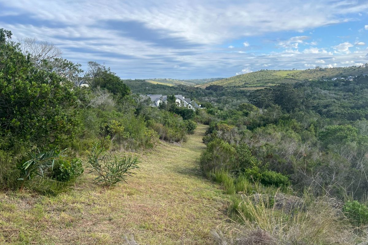 A scenic view of the natural landscape and surrounding hills, showcasing the vacant residential land and local vegetation.