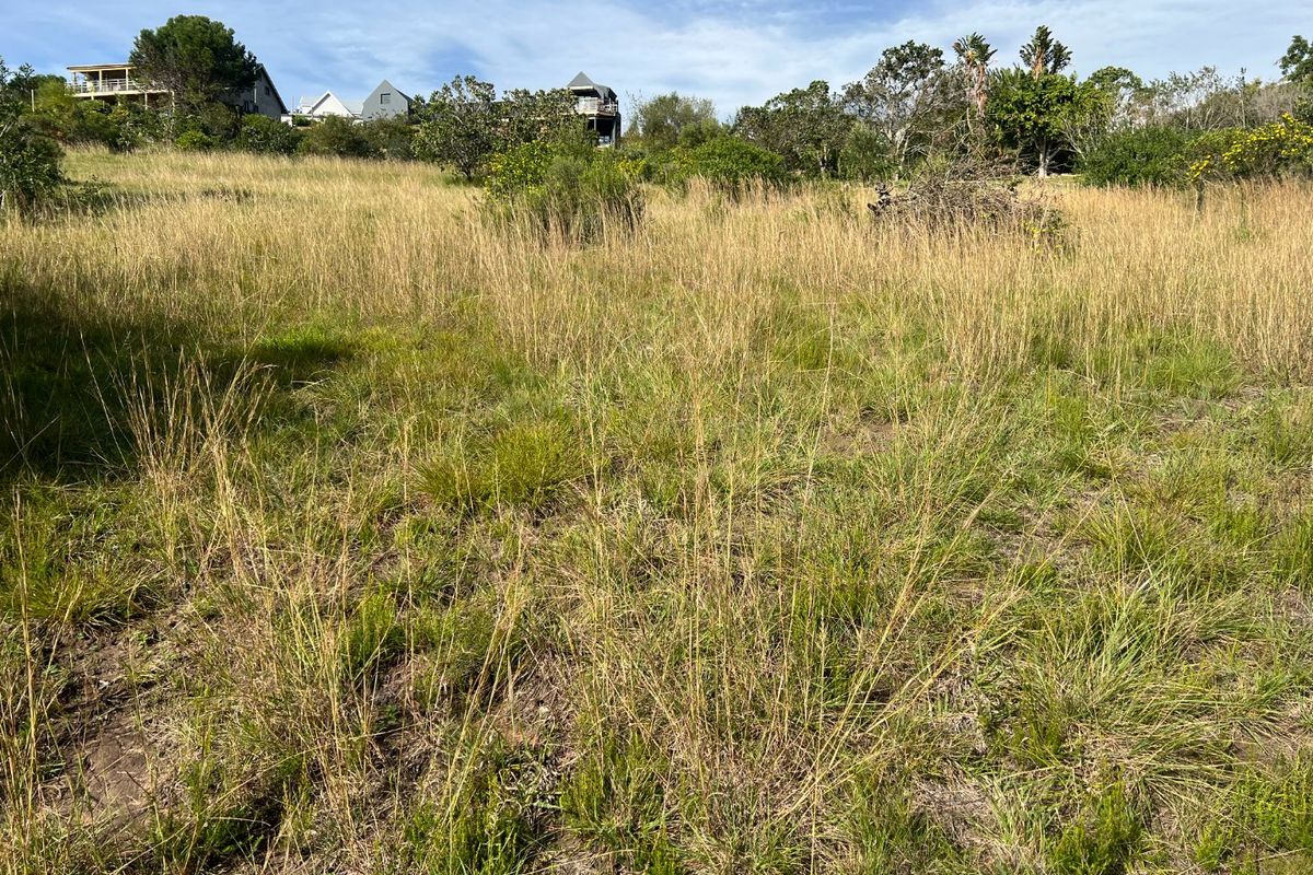 A view of a vacant residential plot featuring natural grass and vegetation, ready for development.