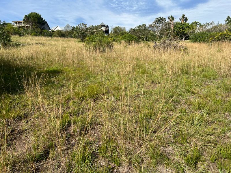 Experience Peaceful Country Living at Woodlands Private Country Estate - Photo 5