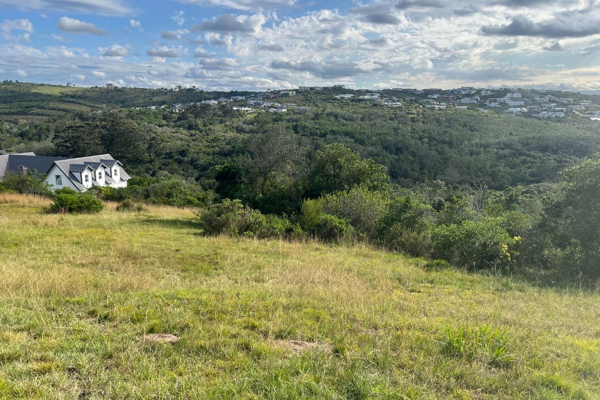 A scenic view overlooking a sloped, grassy vacant residential plot with surrounding indigenous vegetation and distant hillside residential development.