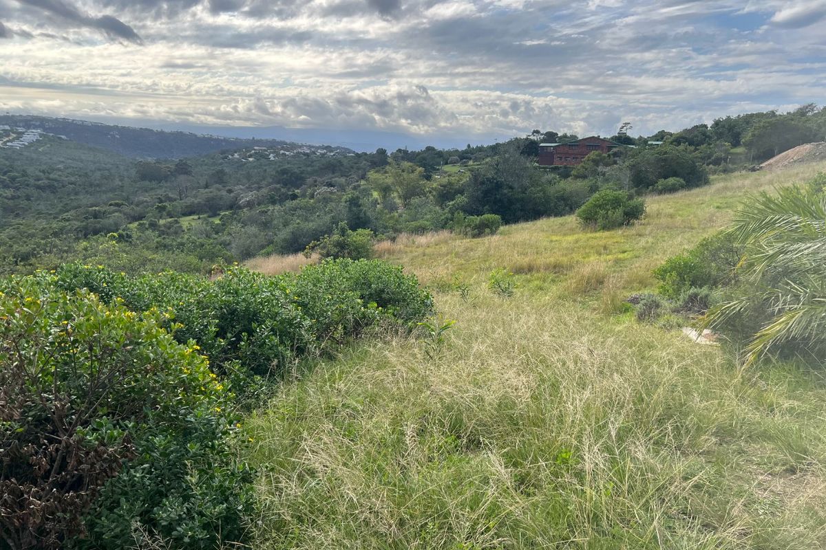 A scenic view overlooking a sloped, undeveloped residential plot with native vegetation and distant hillside landscape.