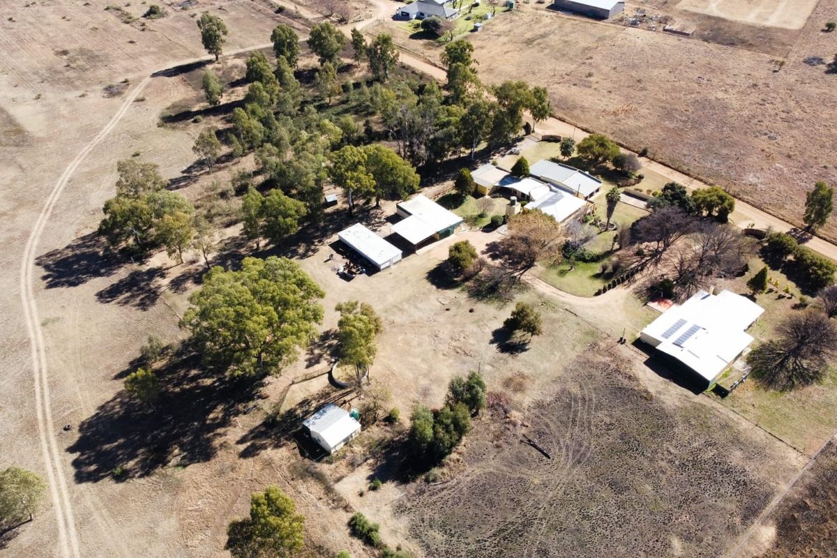30 Hectare Farm with Extensive Infrastructure & Optional Turnkey Business Opportunity - Photo 2