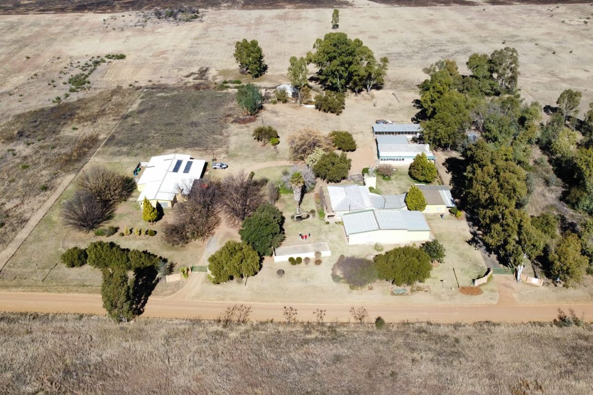 30 Hectare Farm with Extensive Infrastructure & Optional Turnkey Business Opportunity - Photo 4