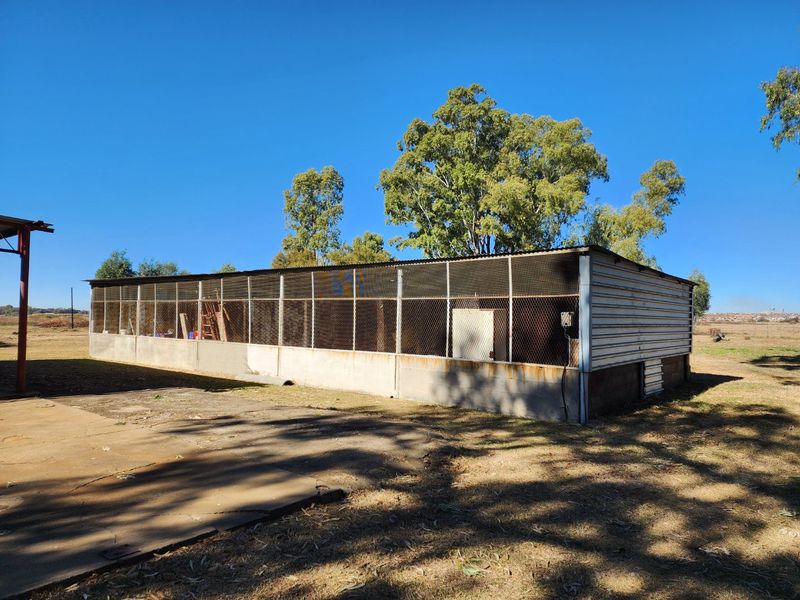 30 Hectare Farm with Extensive Infrastructure & Optional Turnkey Business Opportunity - Photo 8