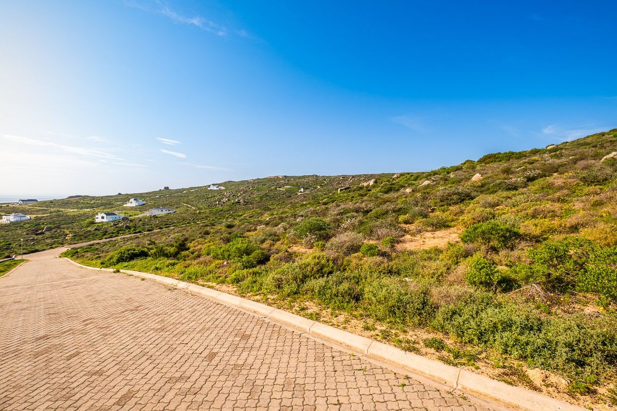 A view of a paved residential street and curb bordering a sloping, undeveloped plot of land with natural coastal vegetation.