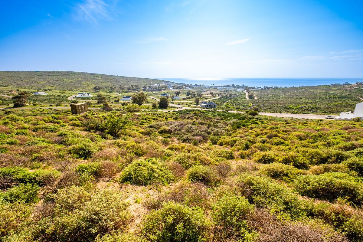 A scenic elevated view of the coastal landscape and surrounding residential area, showcasing the natural terrain and proximity to the ocean.
