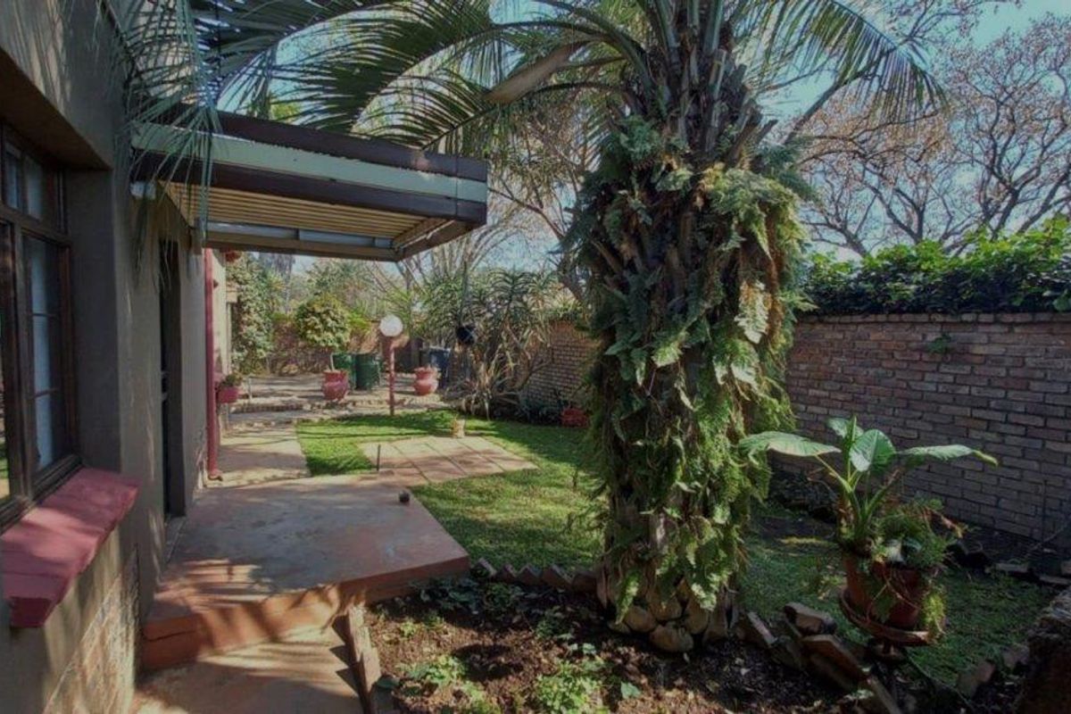 A private rear garden featuring a paved patio area, established palm tree, and brick boundary walling.