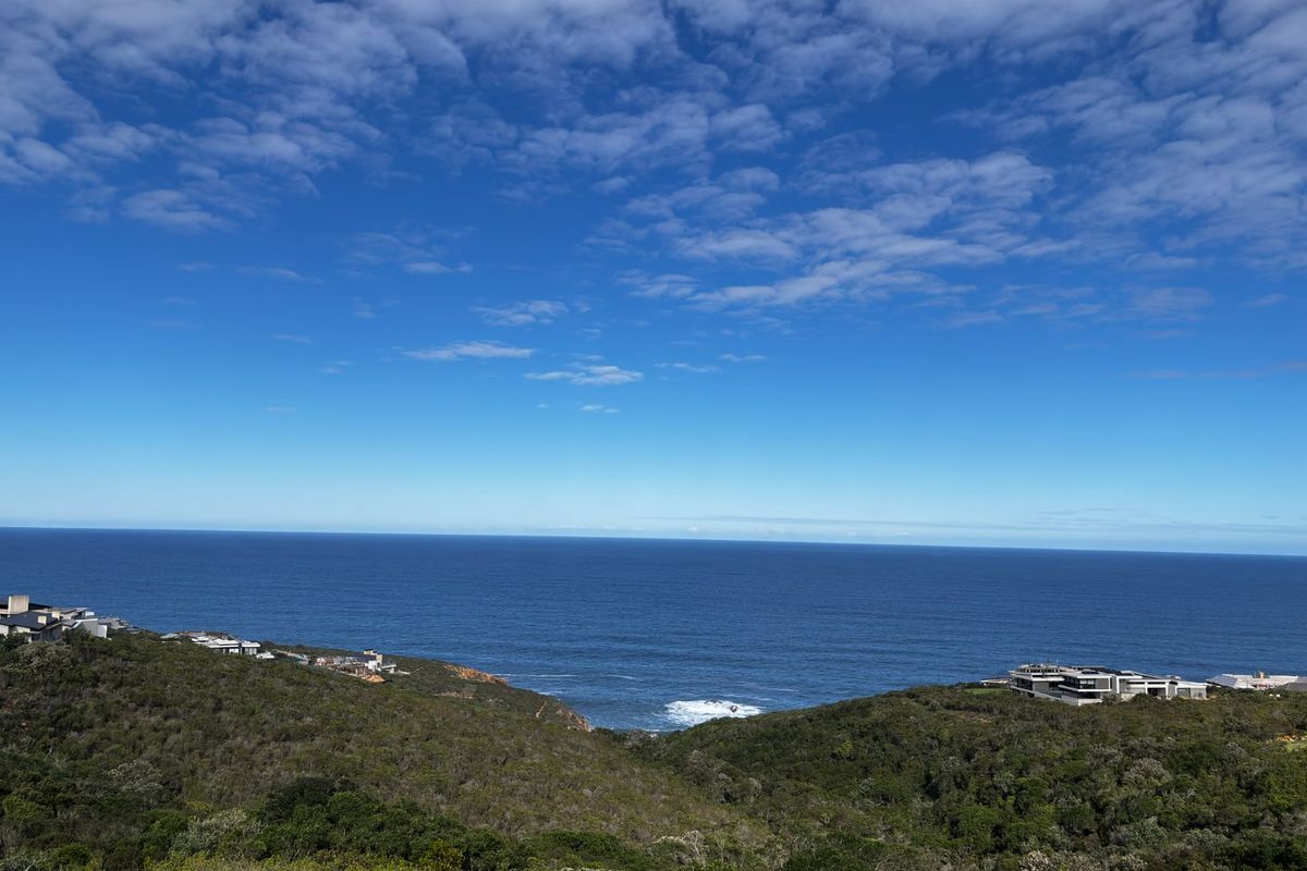 A scenic elevated view overlooking the coastline, natural vegetation, and surrounding residential properties.