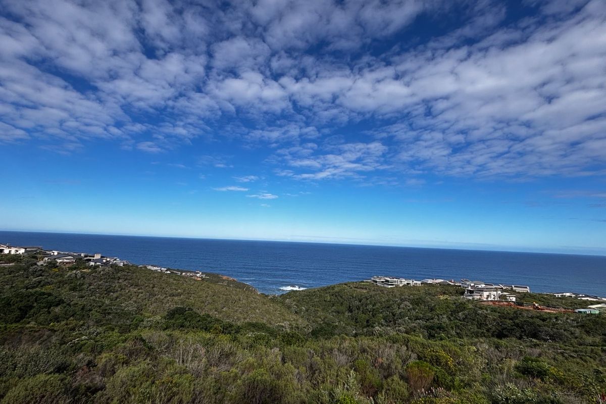 A scenic elevated view overlooking the coastal landscape, native vegetation, and the ocean, showcasing the natural beauty of the surrounding area.