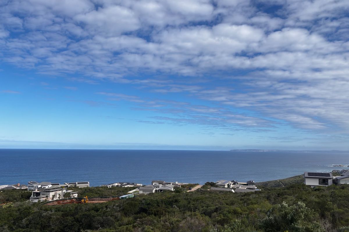 A scenic elevated view overlooking the coastline, surrounding residential properties, and natural vegetation, showcasing the expansive ocean horizon.