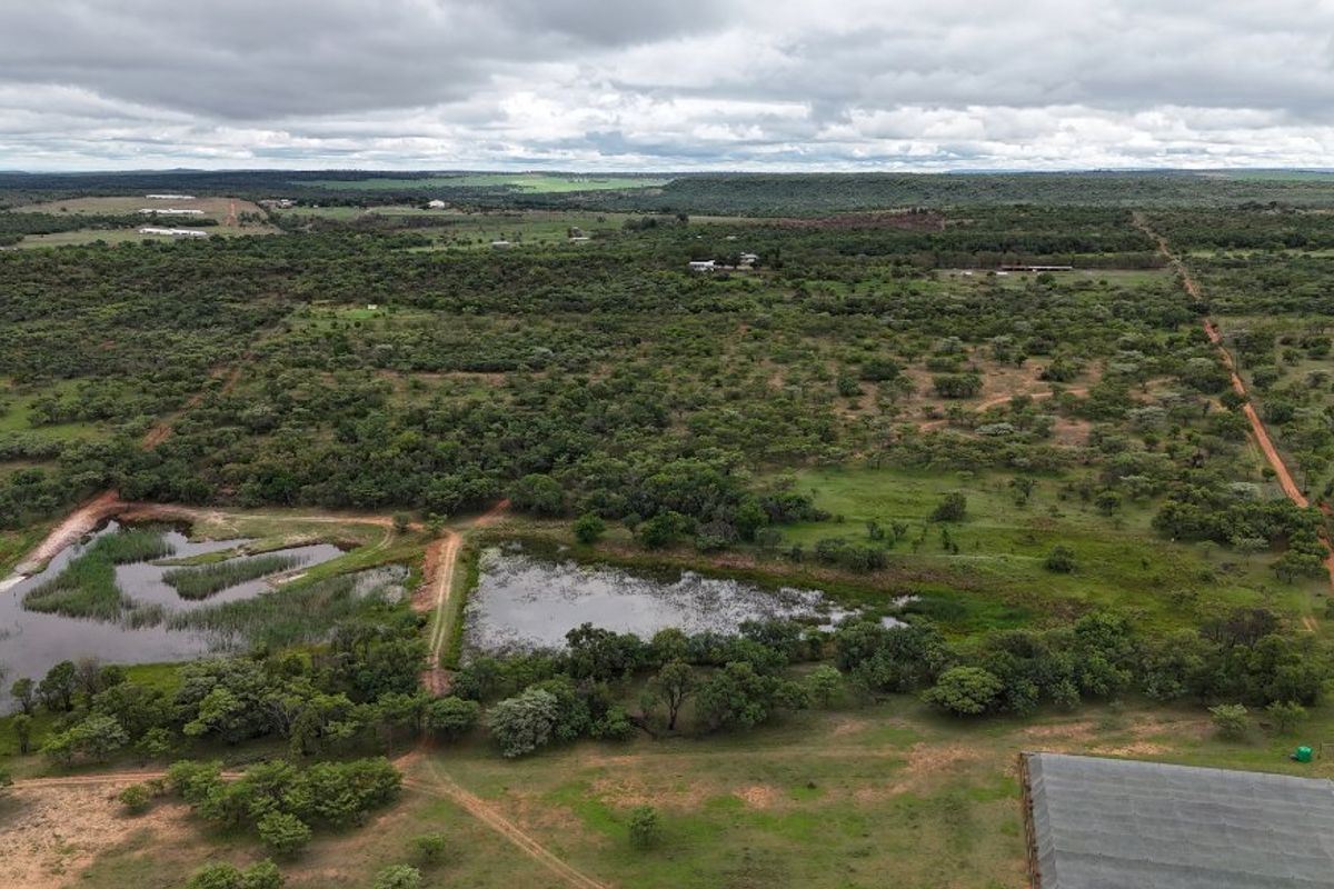 Well-developed infrastructure, strong water supply and a beautiful farmhouse – Farm, livestock, game, implements and equipment included. - Photo 5