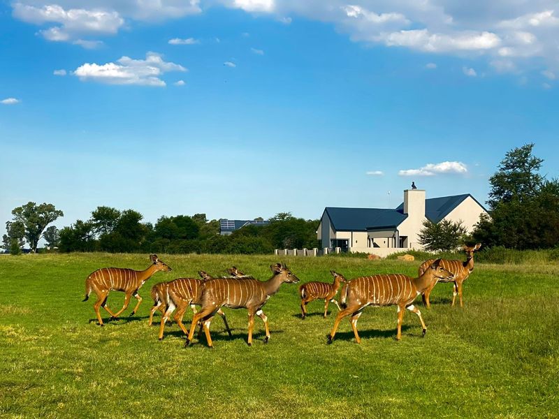 A scenic view of a residential property featuring a modern house with a pitched roof, set within a spacious, grassy landscape with wildlife.
